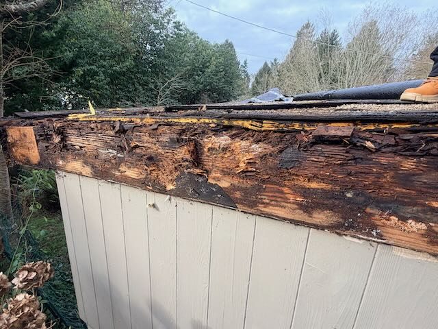 New fascia and trim carpentry installation